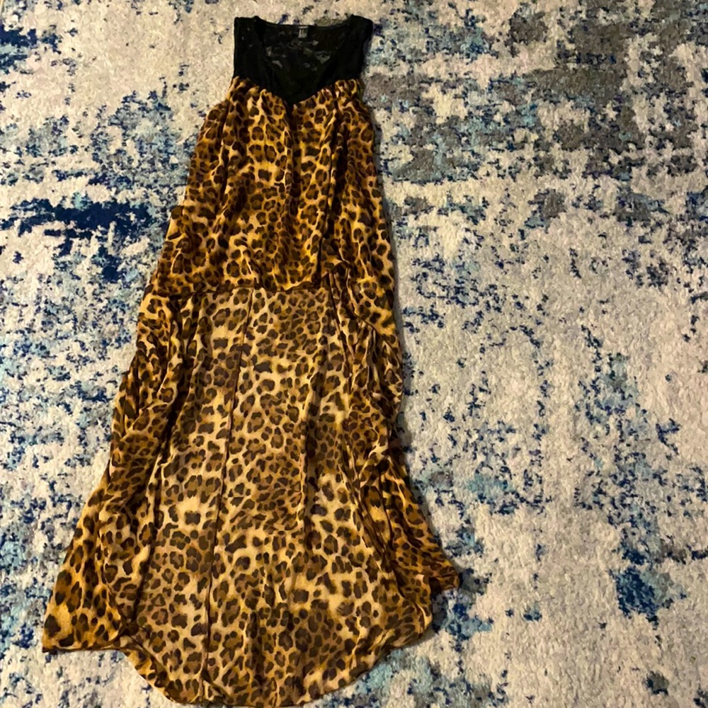 Long Sheer Cheetah Print Top